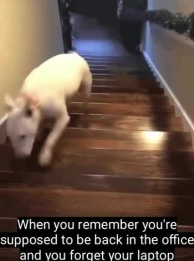 Wait until they see my cache