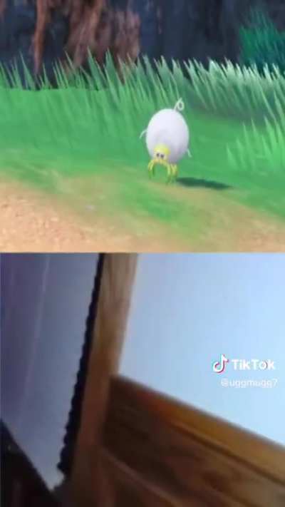 He really hates spiders