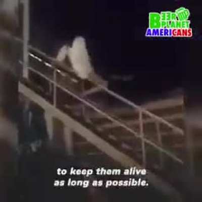 Hmmm you wonder