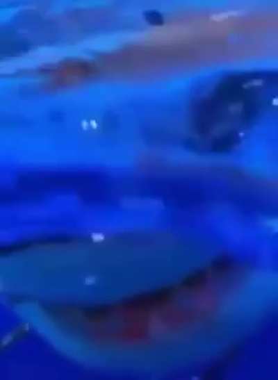 An underwater surprise.