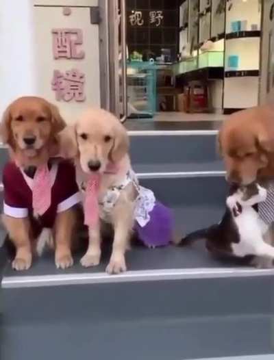 Family photo time