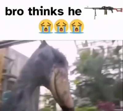 Bros not a pkm