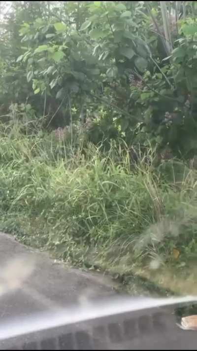 Maybe maybe maybe