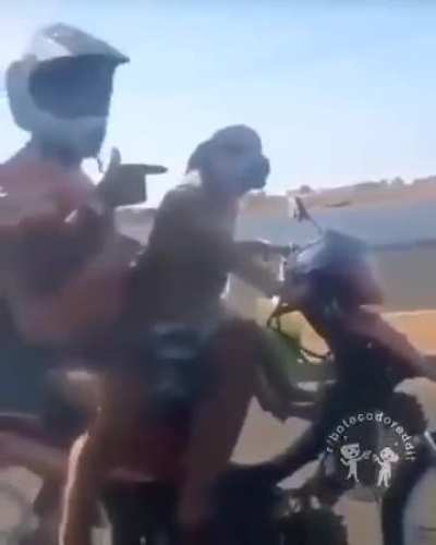 Só em Petrolina 