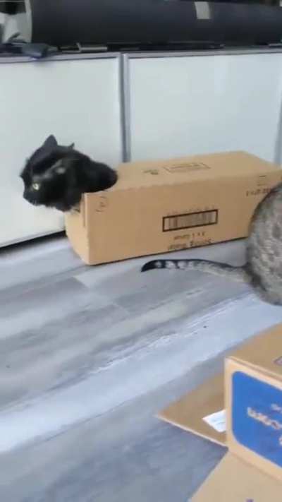 Nothing to see here… move along