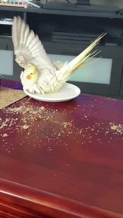 Moist Chicken Monday