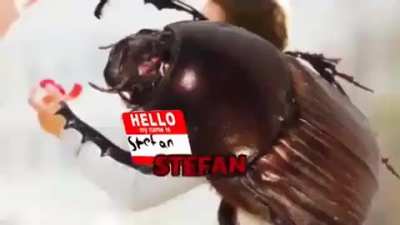 no