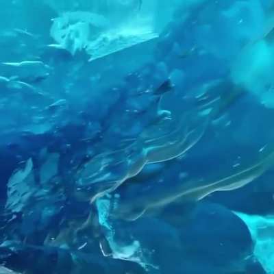 Ice Cave in Alaska