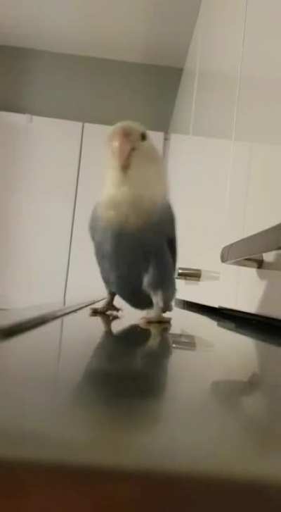 OH LAWD SHE COMIN