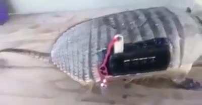 N posso te explicar mas espero que entenda