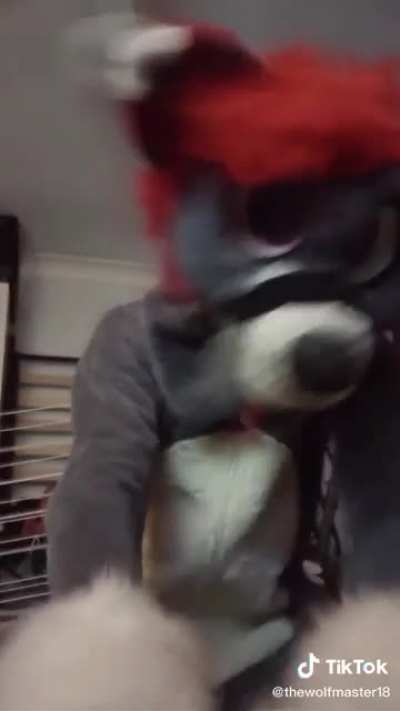 Yiff yiff hooray