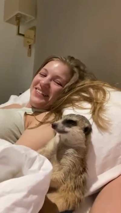 Sleepy