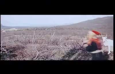 Reindeer castration by Laplander women
