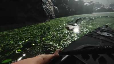 Ferocious - Survival-focused FPS in uncharted lands