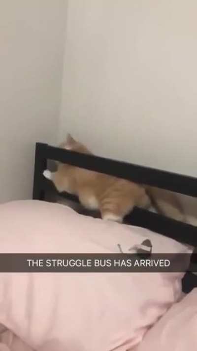 Mistakes were made