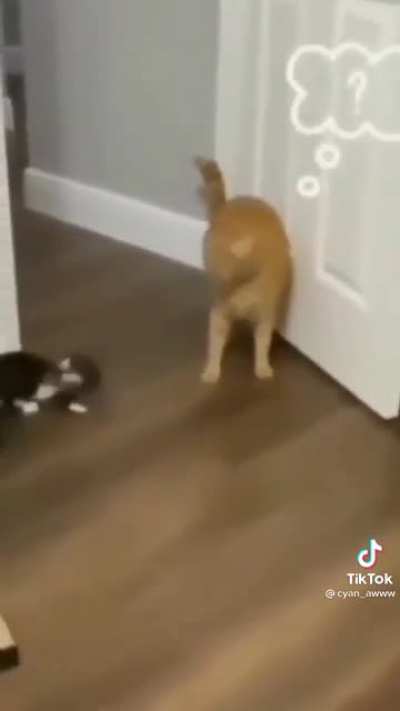 “Are you okay Annie ?”