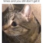 I just don’t get it