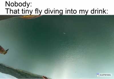 And me then failing to get the fly out