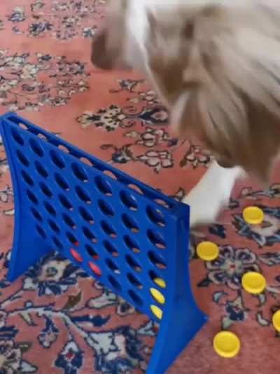 You blocked me! I won’t play anymore!