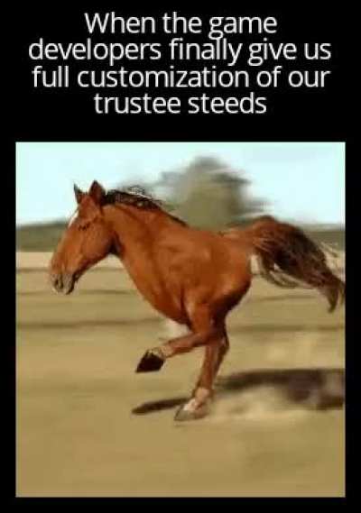 No horse play in the comments boys