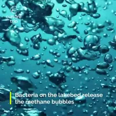 The Frozen Bubbles of Lake Abraham, Canada.