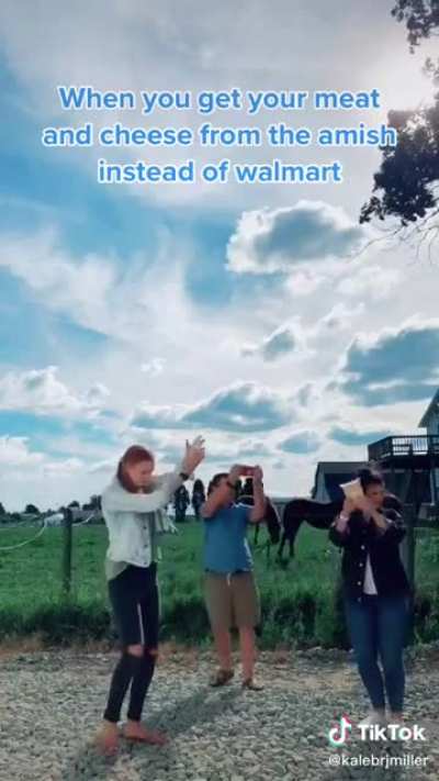 Just don’t buy any puppies from the Amish