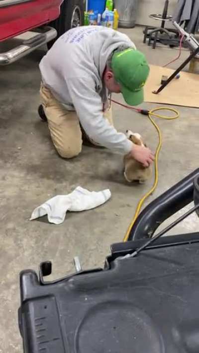 Sometimes dads can’t help themselves