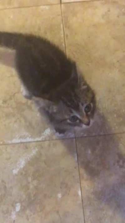 Feed me!