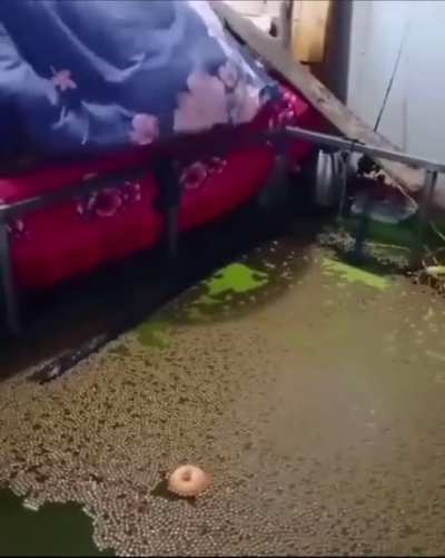 cursed bedroom