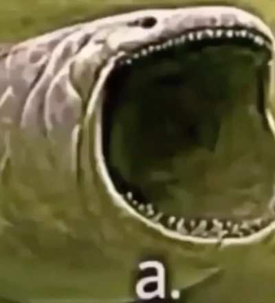 a