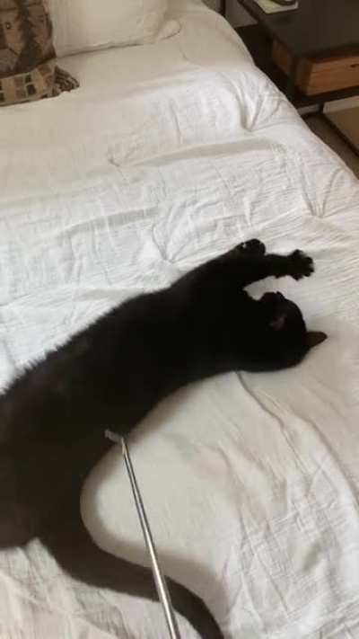 Zen Garden Belly Time vol. 2