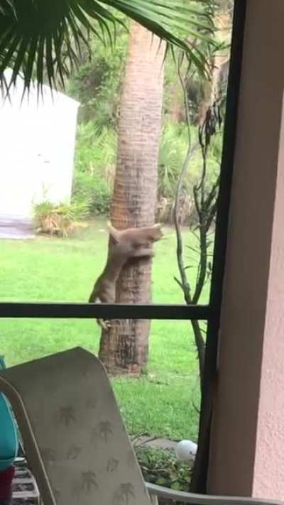 🔥 Hide and Seek 🔥