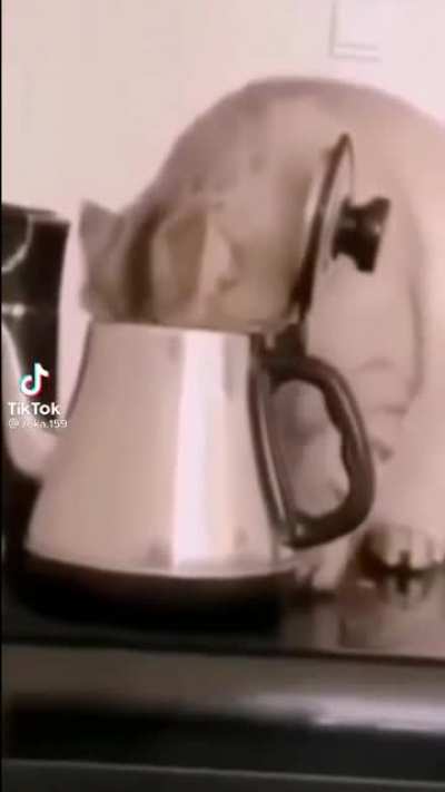 База, ответ<wbr>ьте