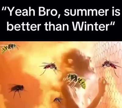 summer.