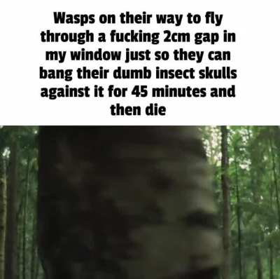Fuck wasps.
