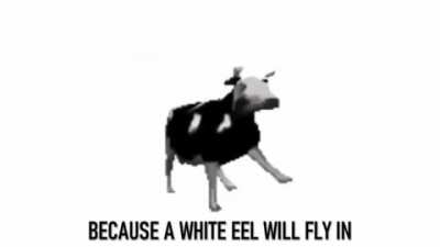 The actual lyrics to that stupid dancing cow you’ve been seeing so much
