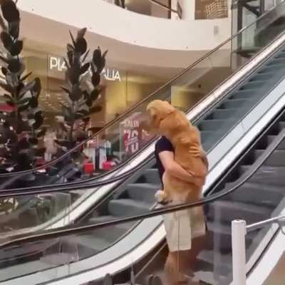 Trusting hooman