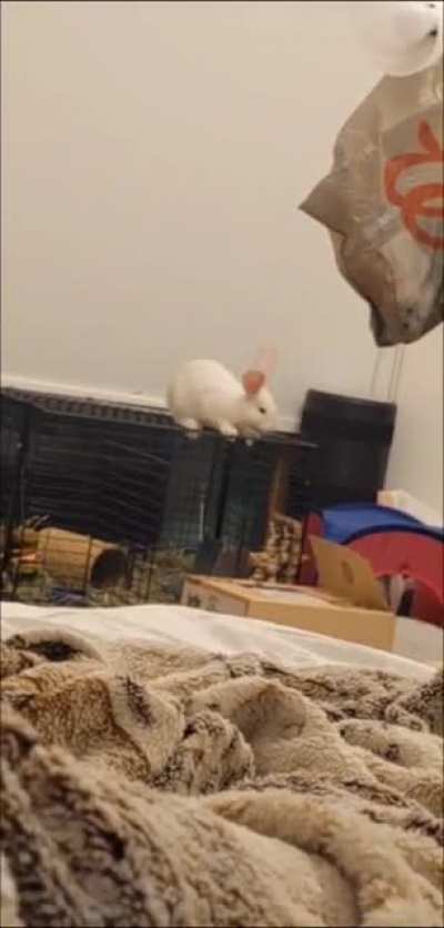 NO!