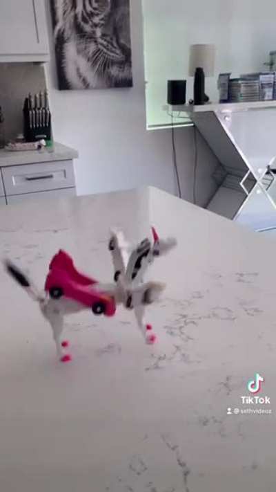 Unicorn Transformer Car