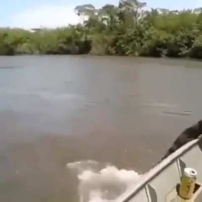 MAN grabs giant snake out of the water