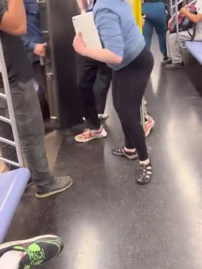 Ny subway freak out on the L .