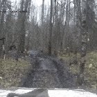 Fuck this tree in particular