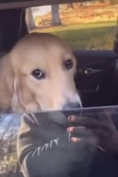 SquarePosting - Video #2329