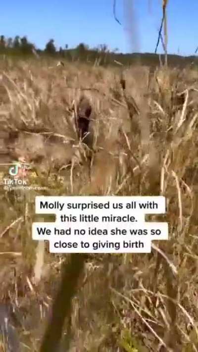 I downloaded tik tok for this