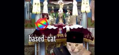 Based cat :) always has been