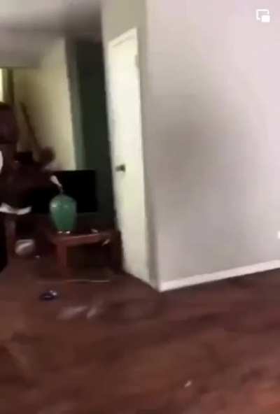 Should have just left him alone.