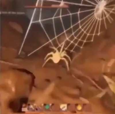 Damn spider