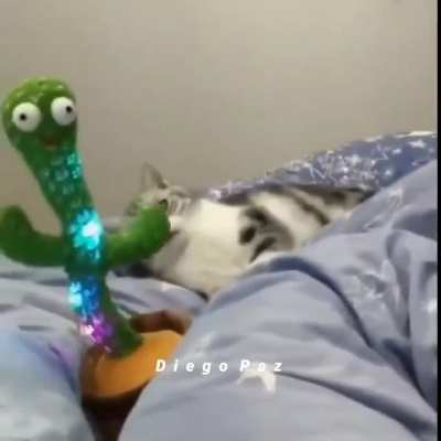 :D