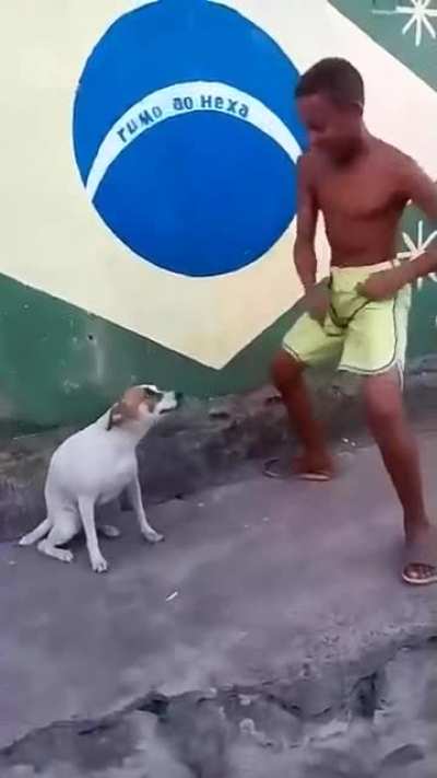 Twerking Canine