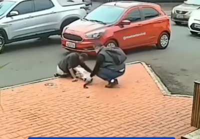 Humanity